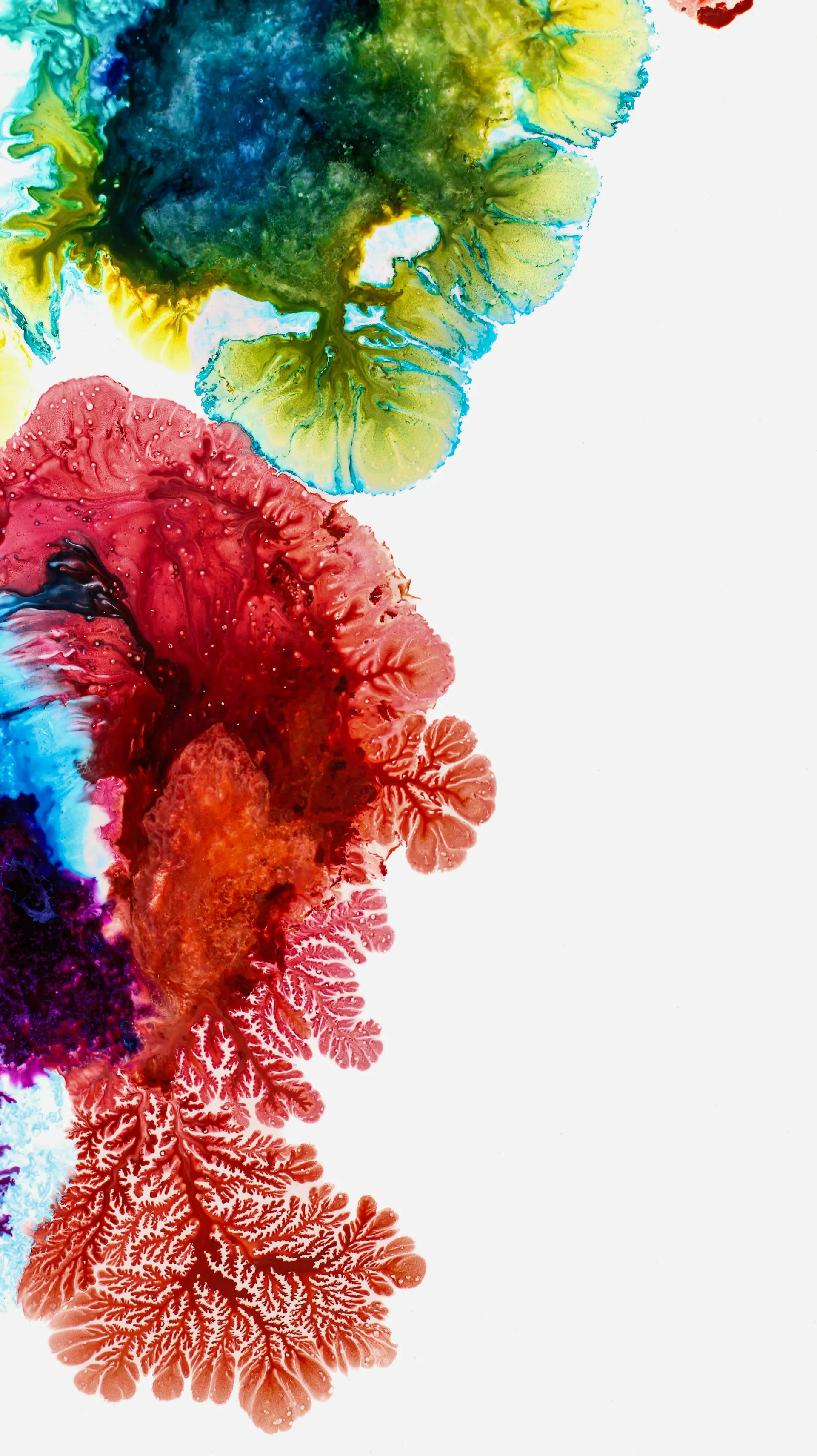 Graphics from Susan Wilkinson - https://unsplash.com/de/@susan_wilkinson